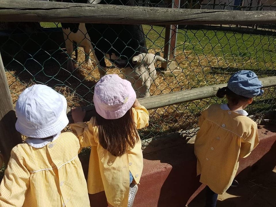 Quinta Pedagógica dos Olivais