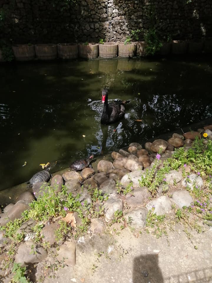 Quinta Pedagógica dos Olivais