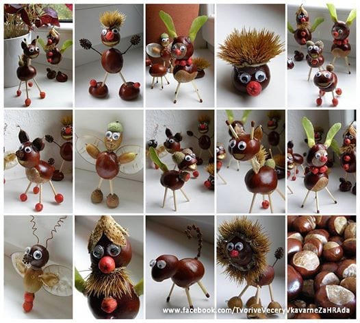 Figuras de castanhas para trabalhos manuais