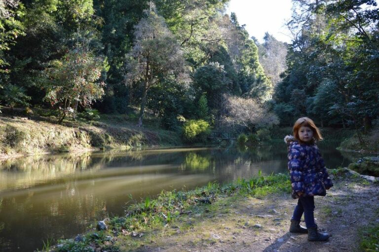 mata nacional do buçaco