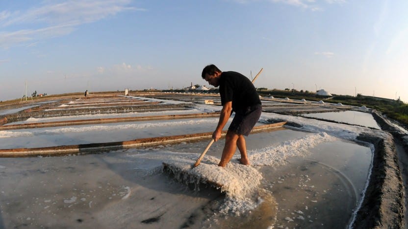 Salinas o que visitar em Aveiro com crianças