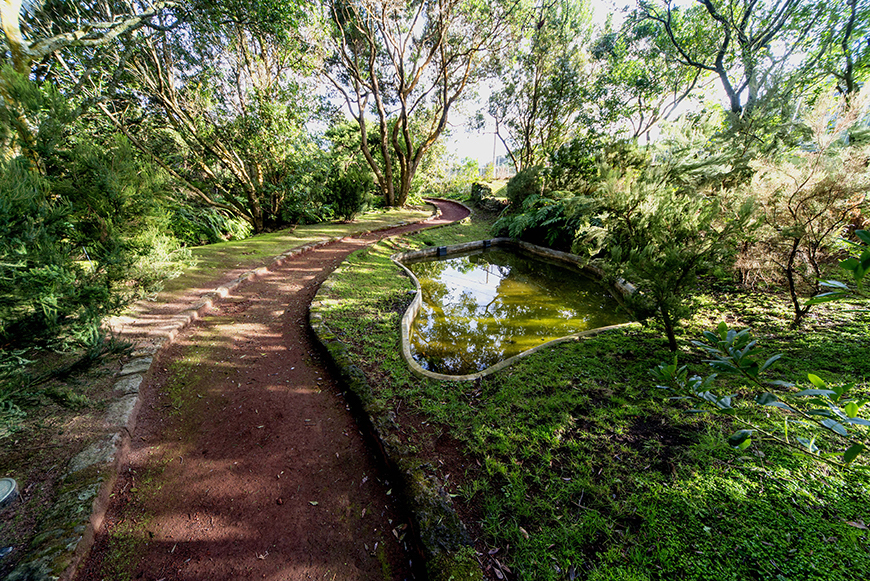 jardim botânico do faial