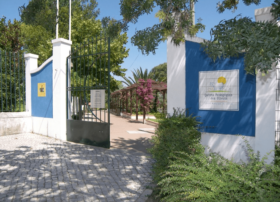 quinta dos olivais