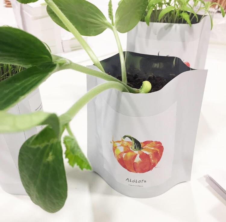 presente gourmet life in a bag abóbora