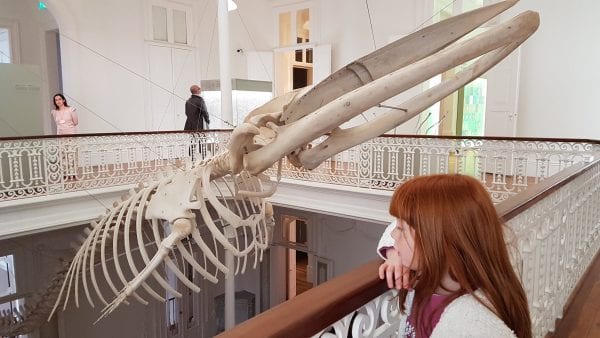 Galeria da Biodiversidade do Porto