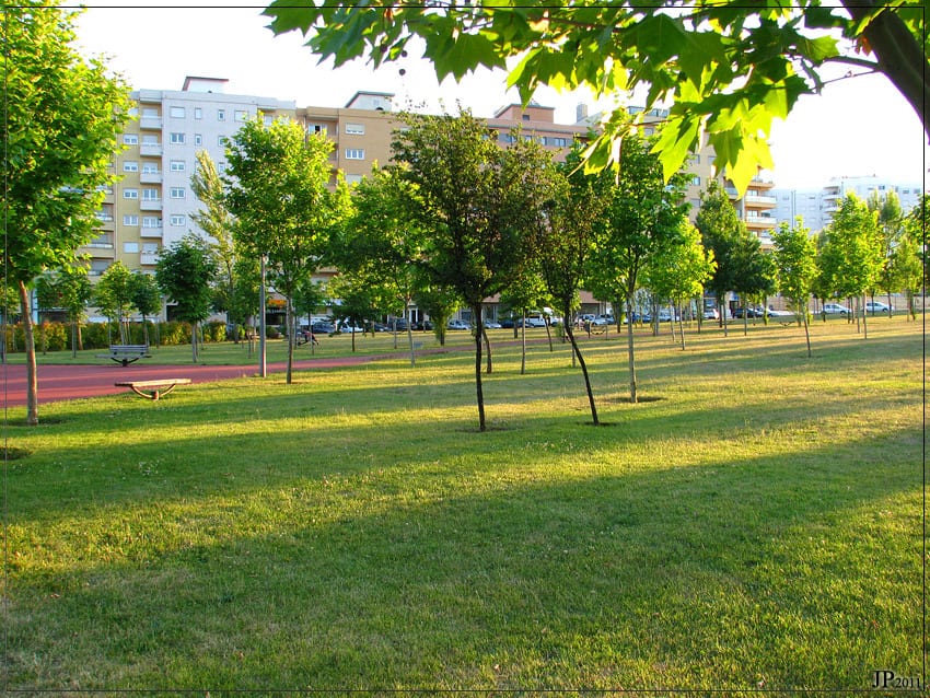 Parque da Quinta da Braguinha