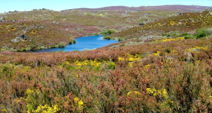 Parque Natural de Montesinho