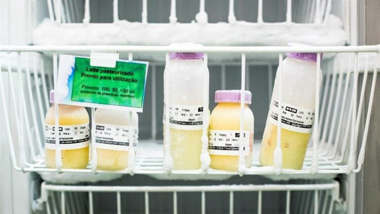 Banco de leite: o que é, como funciona e como doar