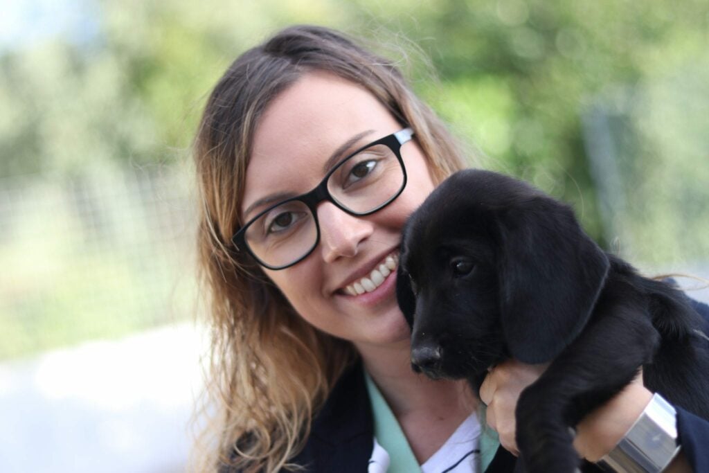 Diversão todas as idades Feijão Verde Coimbra