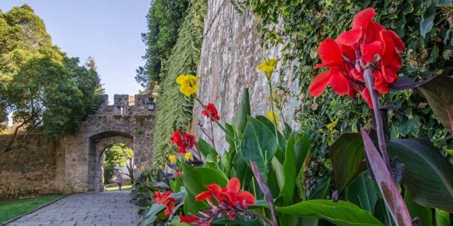 jardim dos colegiais
