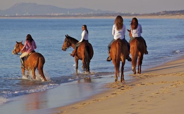 o que visitar na comporta - cavalos comporta