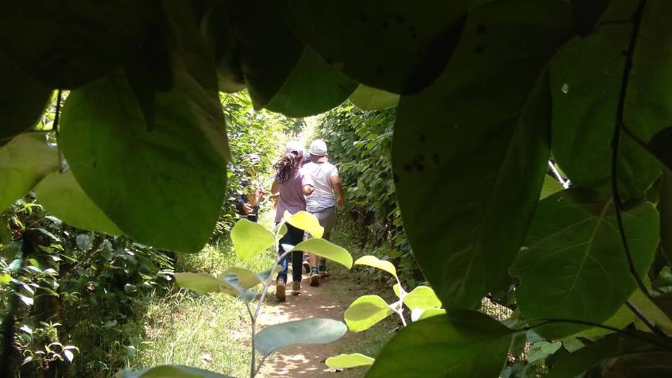 parque biológico da serra da lousã: labirinto