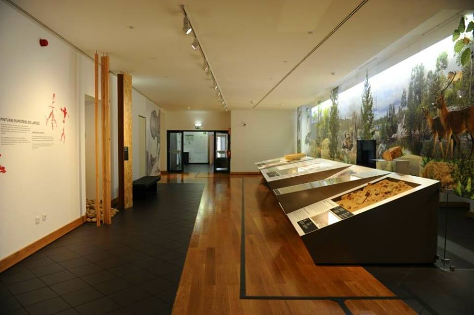 museu de leiria