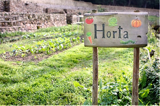 Quintinha de Monserrate: horta