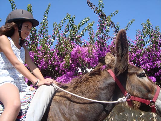 burros do magoito