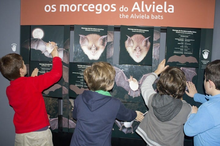 centro ciência viva alviela