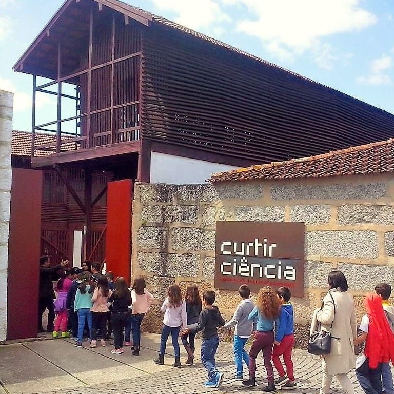 curtir ciência