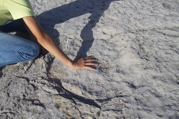 monumento natural de pegadas de dinossaurios