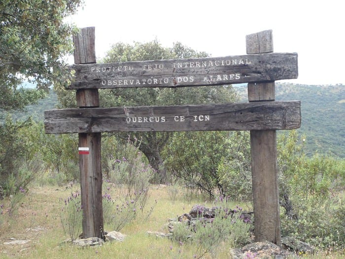observatório dos alares