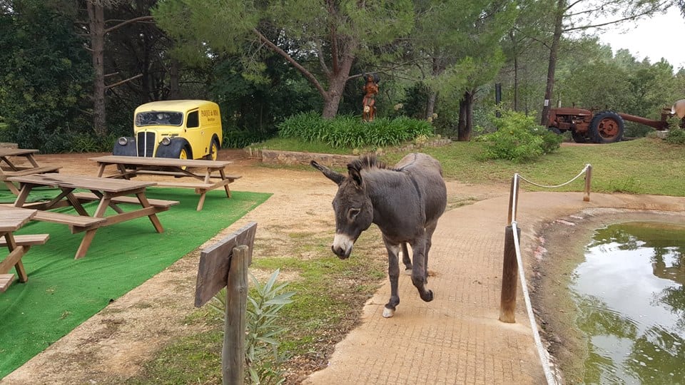 burro parque da mina