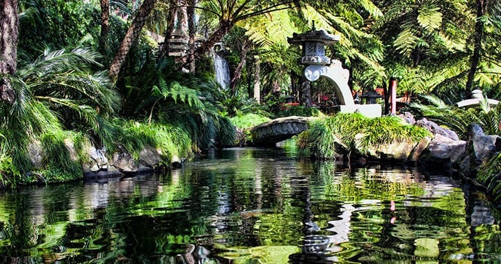 Museu Jardim Tropical Monte Palace