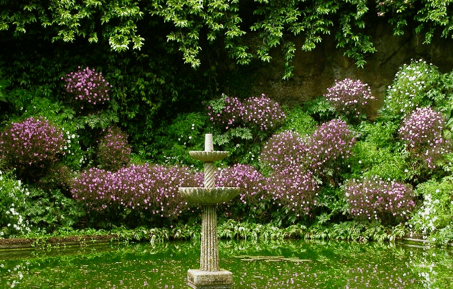 Jardim Botânico da Madeira