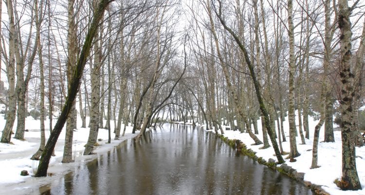 Serra da Estrela