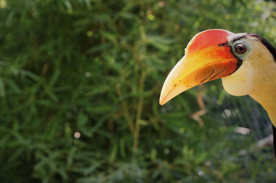 zoo lourosa informações