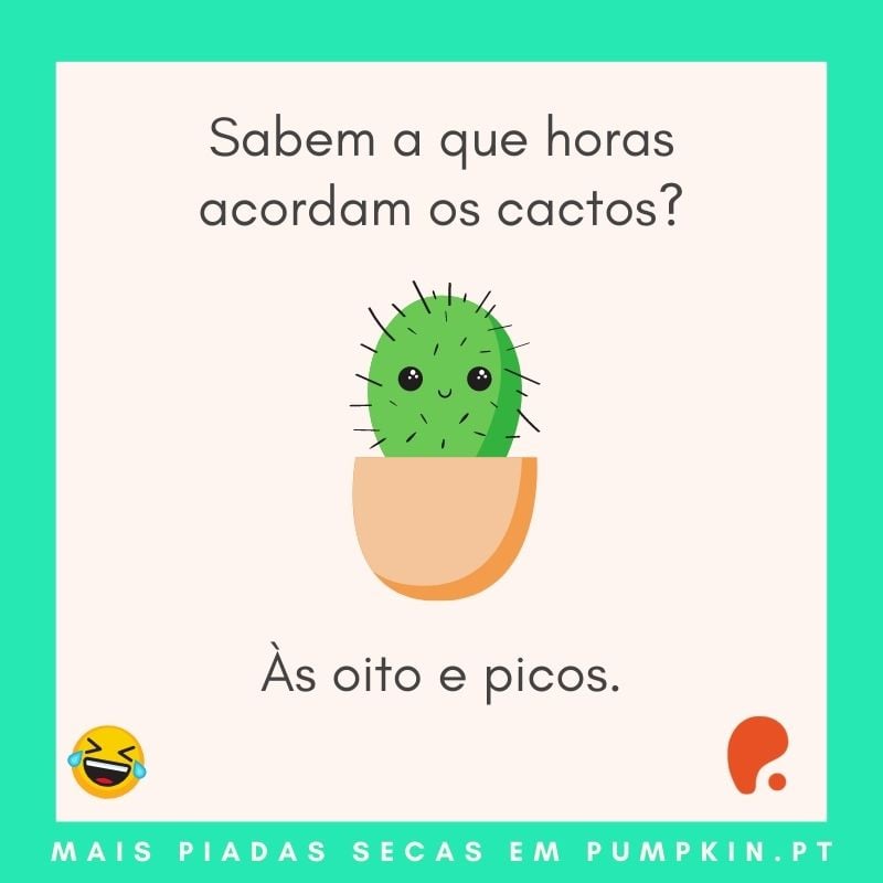 piadas engraçadas Cactos