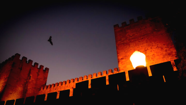 Morcegos no Castelo de São Jorge