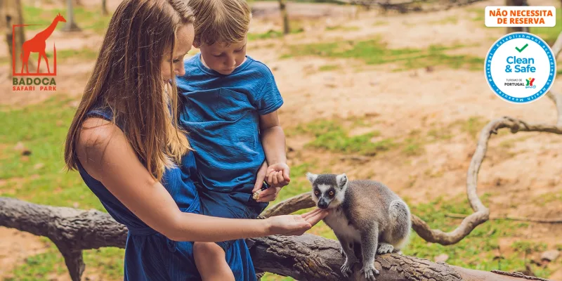 Badoca park: alimentar animais