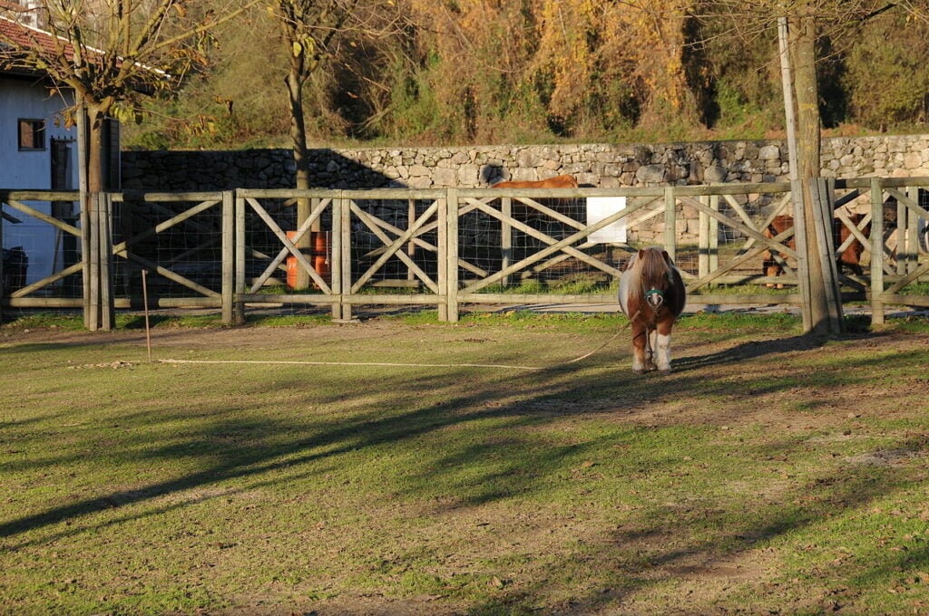 Quinta pedagógica de braga