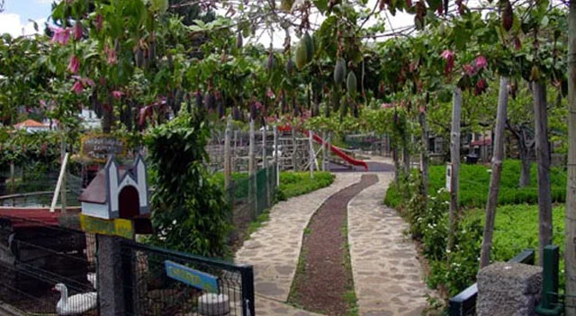Vista para jardim