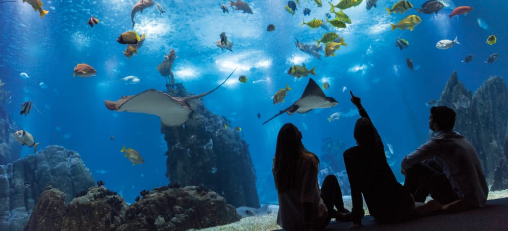Oceanário de Lisboa