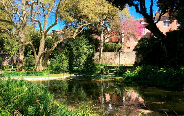 Jardim Botânico Monteiro-Mor