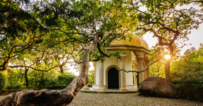 Visita guiada ao Parque da Pena