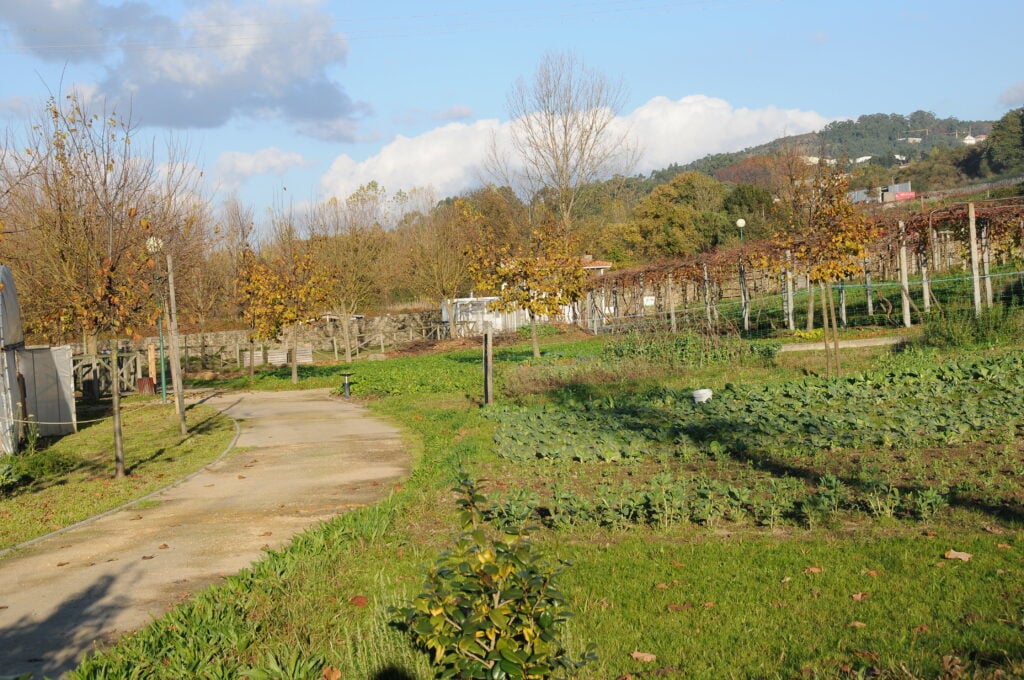 Quinta pedagógica de braga