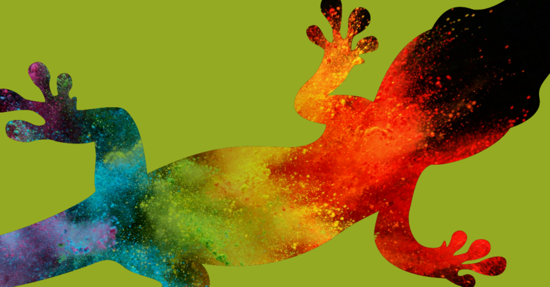 Teatro musical – Lagarto Pintado no Museu do Dinheiro