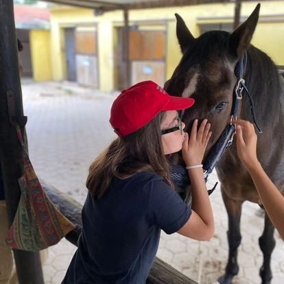 Cavalo no Campo de Férias em Aveiro numa quinta pedagógica
