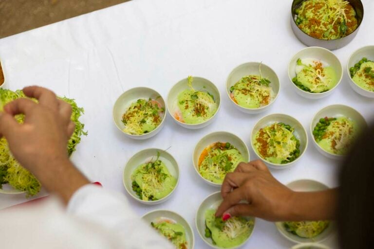 A Revolta dos Veggies!