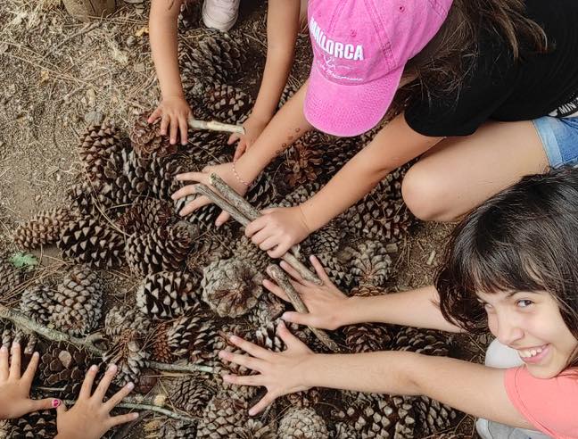 Atividade de Pinhas no Campo de Férias Monsanto