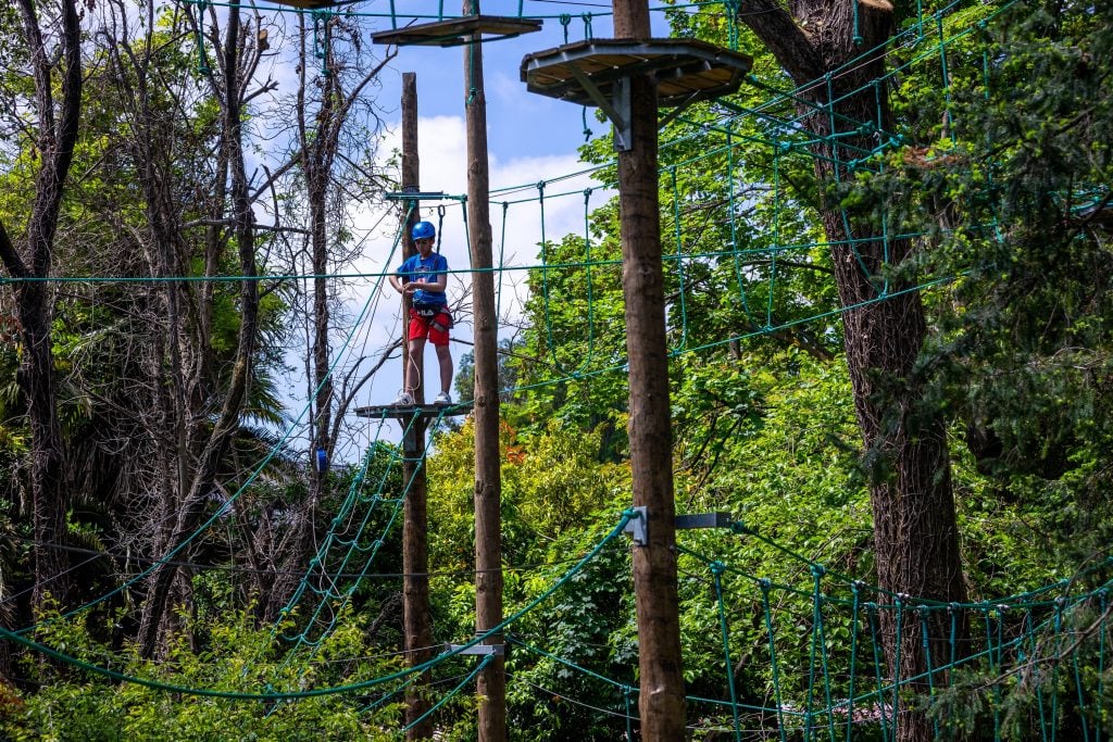 Criança no Topo Percurso Parque Aventura Lourosa