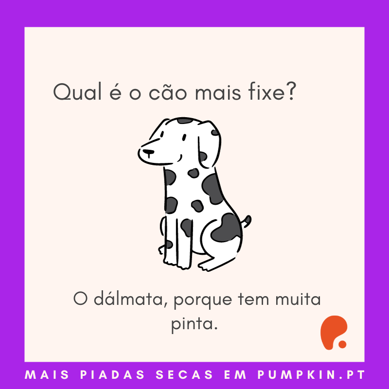 Piada Seca Cão