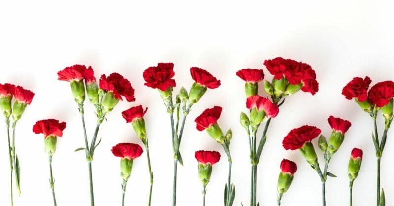 Eventos 25 de abril: celebrar a liberdade