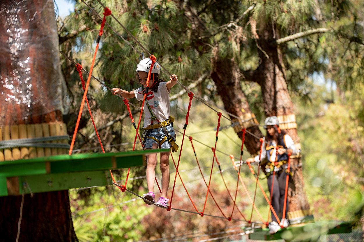 Campo de Férias Gaia Feijão Verde 2024