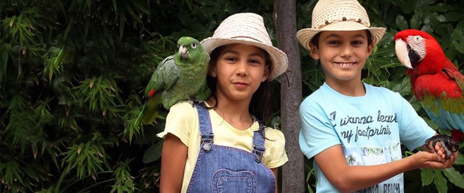 Férias de Verão do Jardim Zoológico