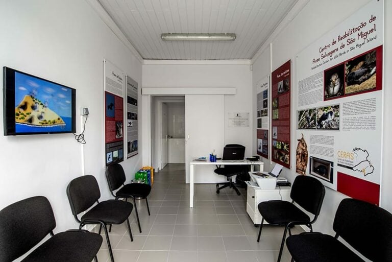 Centro de Reabilitação de Aves Selvagens de São Miguel