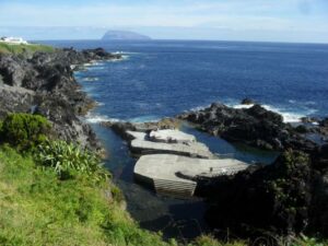 piscinas-flores