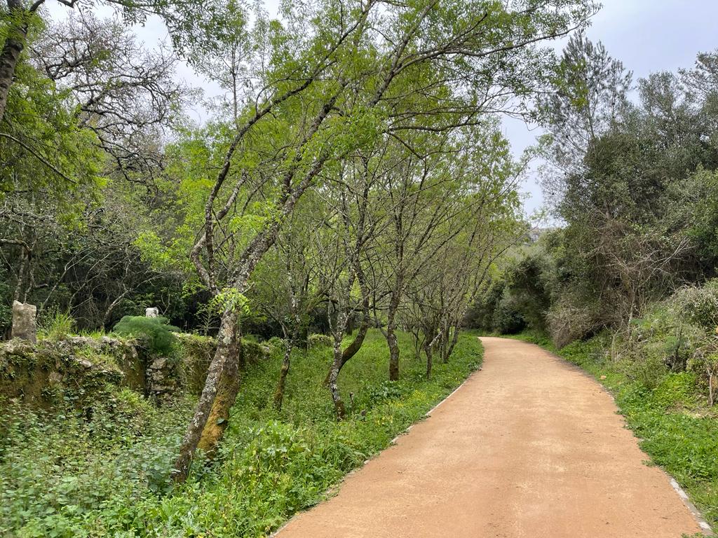 Caminhada no Trilho do Marmeleiro
