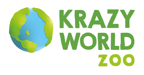 Krazy World
